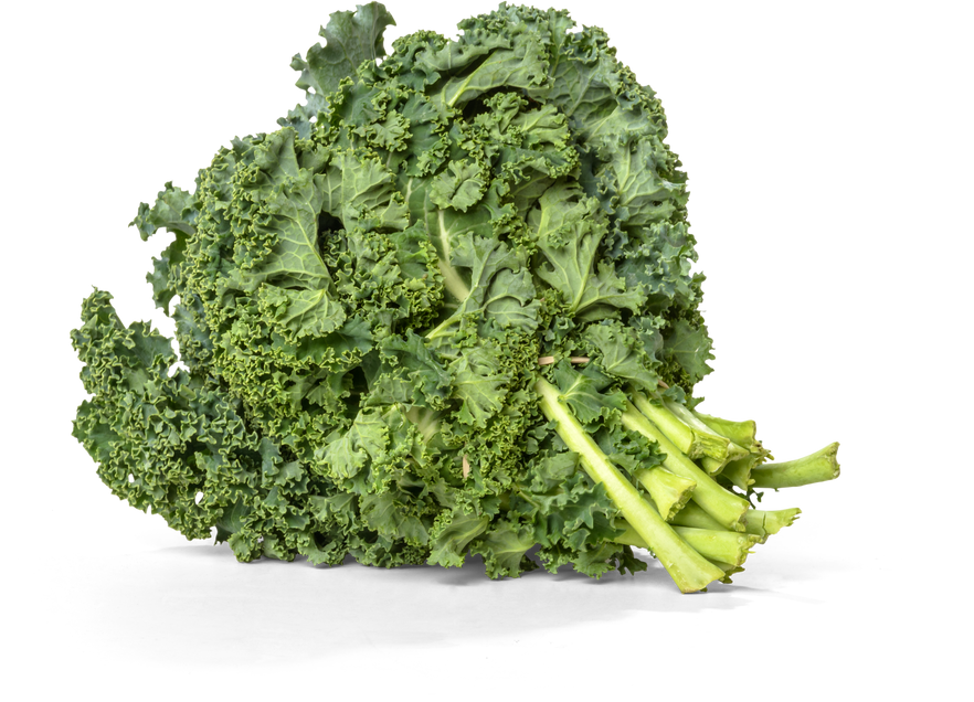 Bundle of Kale - Isolated